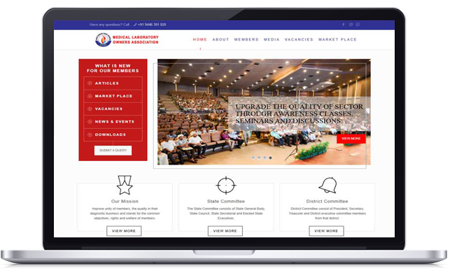 Website Designing For Organisations